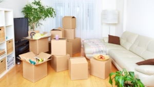 A Synopsis of Professional Packers and Movers in Pune