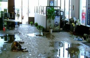Why you need professional help in case of damage to your business property