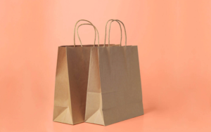 paper bags over conventional